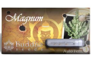 Magnum Auto x3+1 Buddha