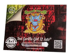 Red Gorilla Girl XL Auto® 3+1 Uds.