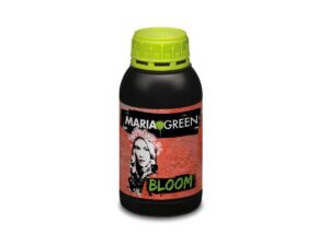 Bloom 500ml – Maria Green