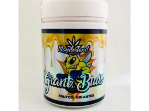 Giant Buds PK52-34 120g – Wonderland