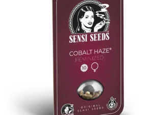 Cobalt Haze 3Uds. Sensi Seeds