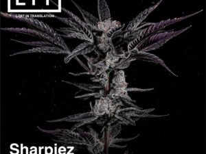 Lit Farms – Sharpiez x6 Fem