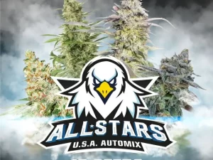 All Star USA Automix X12 – BSF