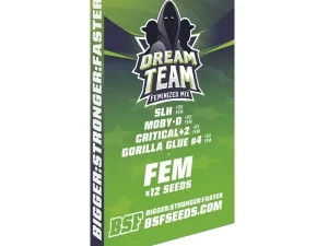 Dream Team Fem mix – BSF