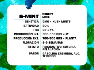 G-Mint Fem – BSF