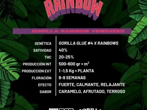 Gorilla Rainbow Fem – BSF