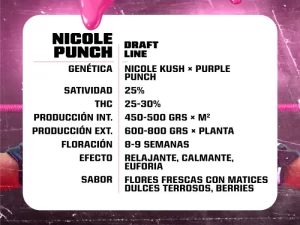 Nicole Punch Fem -BSF