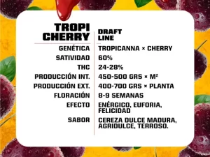 Tropi Cherry Fem – BSF