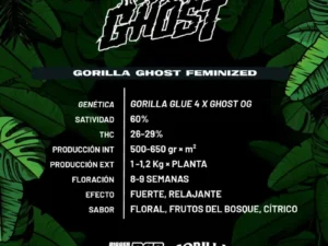 Gorilla Ghost Fem – BSF