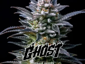 Gorilla Ghost Fem – BSF