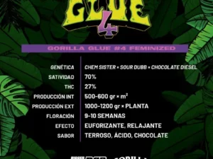 Gorilla Glue #4 Fem – BSF