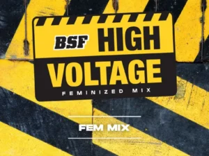 High Voltage Fem Mix X12 – BSF