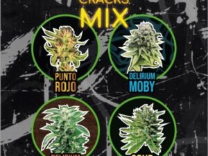 Mix Delirium Cracks Auto X4 – Delirium Seeds