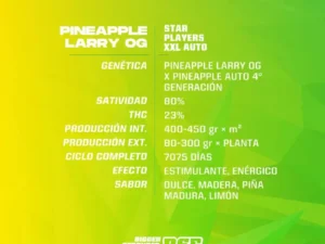 Pineapple Larry OG XXL Auto – BSF