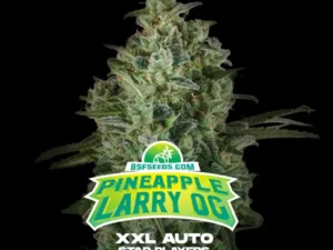 Pineapple Larry OG XXL Auto – BSF