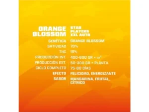 Orange Blossom XXL Auto X4 – BSF