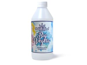 Big vegeta 1L – Wonderland