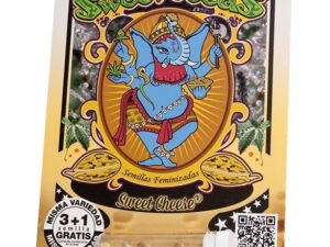 Sweet Cheese Fem X3+1 – Sweet Seeds