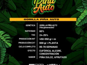 Gorilla Piña Auto – BSF