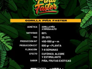 Gorilla Piña F1 X4 – BSF